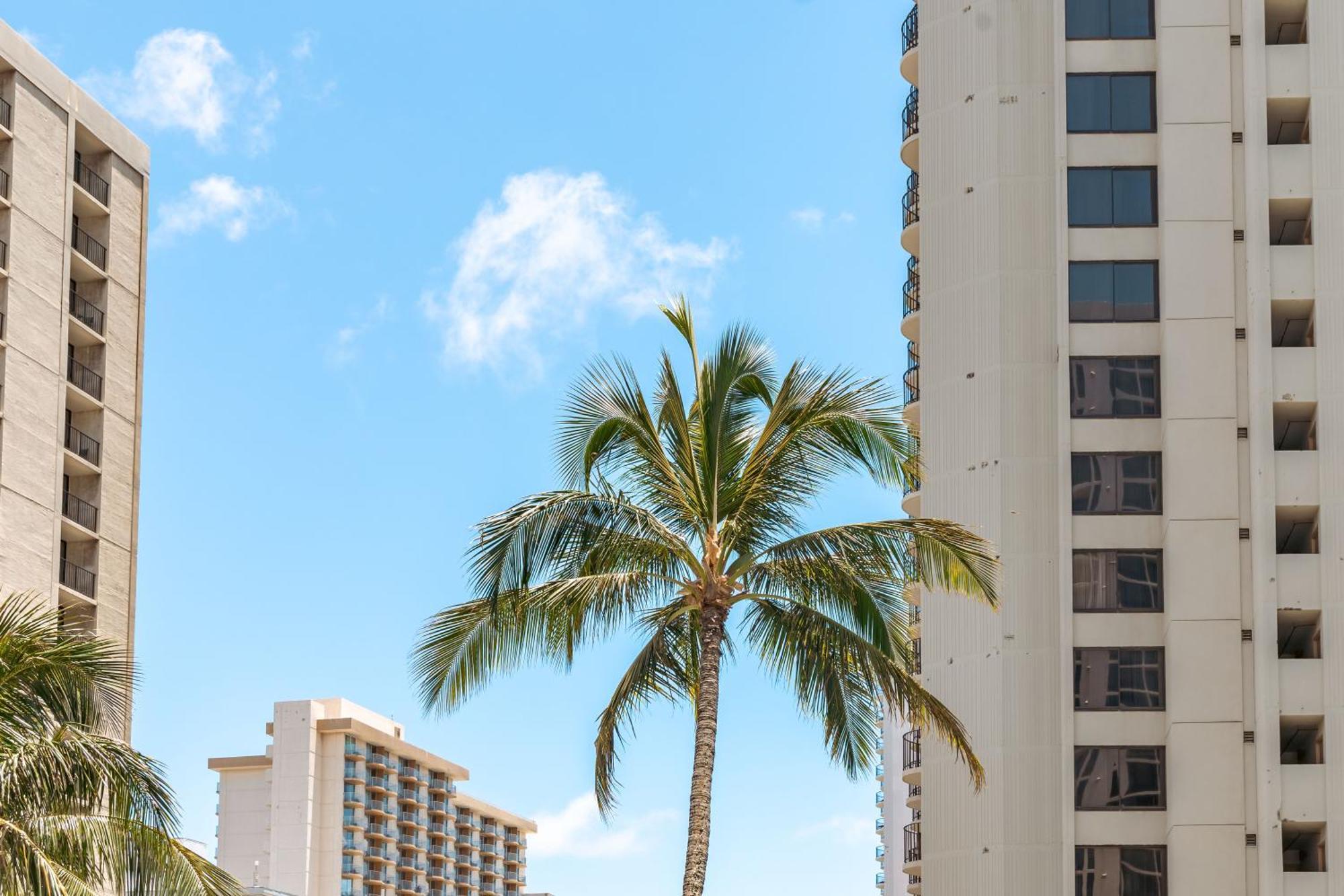 Aloha Getaway, Ocean View Condo Near Waikiki Beach With Free Parking Гонолулу Экстерьер фото